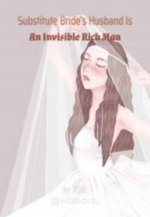 Substitute Bride’s Husband Is An Invisible Rich Man.jpg