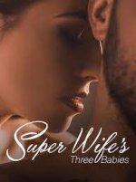 Super Wife’s Three Babies novel.jpeg